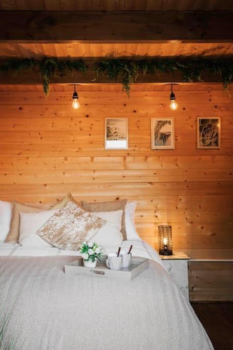 Summerhouse @ 73 كول فورد المظهر الخارجي الصورة