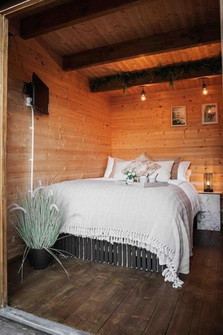 Summerhouse @ 73 كول فورد المظهر الخارجي الصورة