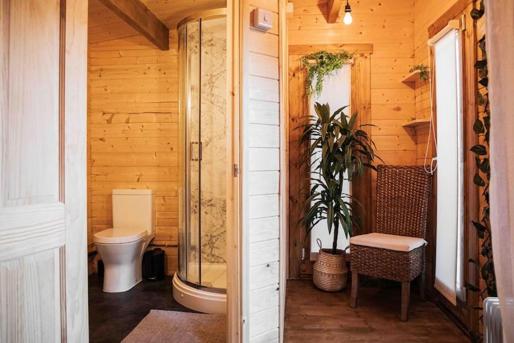 Summerhouse @ 73 كول فورد المظهر الخارجي الصورة